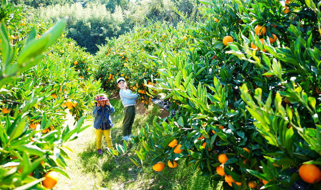 こどもとねっと福岡 ファミリーキャンプ 子供とお出かけ アウトドア 公園レビューのポータルサイト